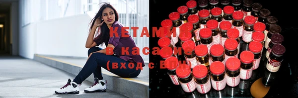 ПСИЛОЦИБИНОВЫЕ ГРИБЫ Абаза