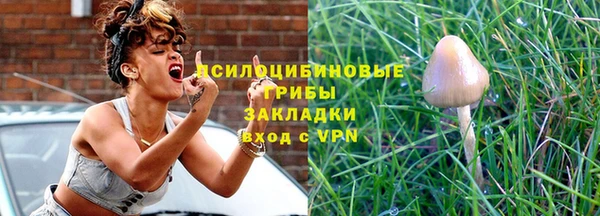 ПСИЛОЦИБИНОВЫЕ ГРИБЫ Абаза